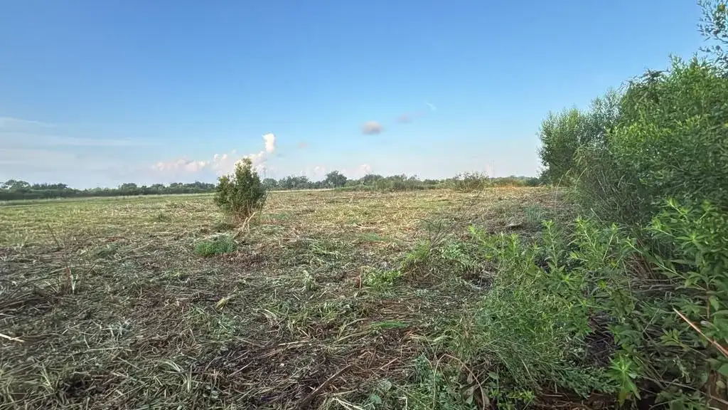 15790 NW 284TH Street, Okeechobee FL 34972 photo 5