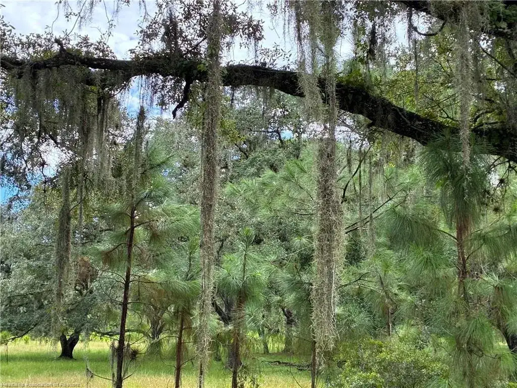 0 Detjen'S Dairy Road, FL 33960 photo 5