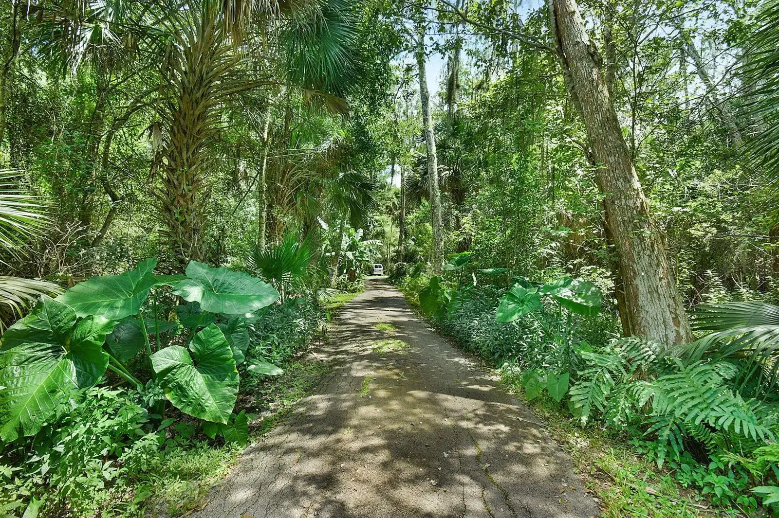 17475 Hammock Lane, Port St. Lucie FL 34987 photo 4