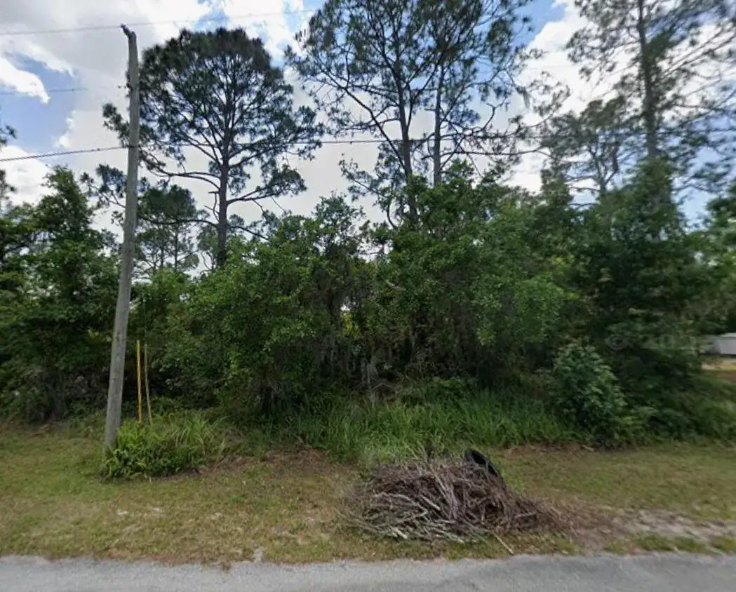 456 Bonnie Road NW, Lake Placid FL 33852 photo 2
