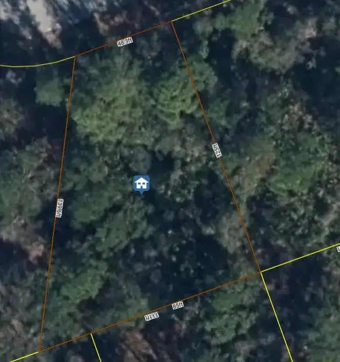 456 Bonnie Road NW, Lake Placid FL 33852 photo 3