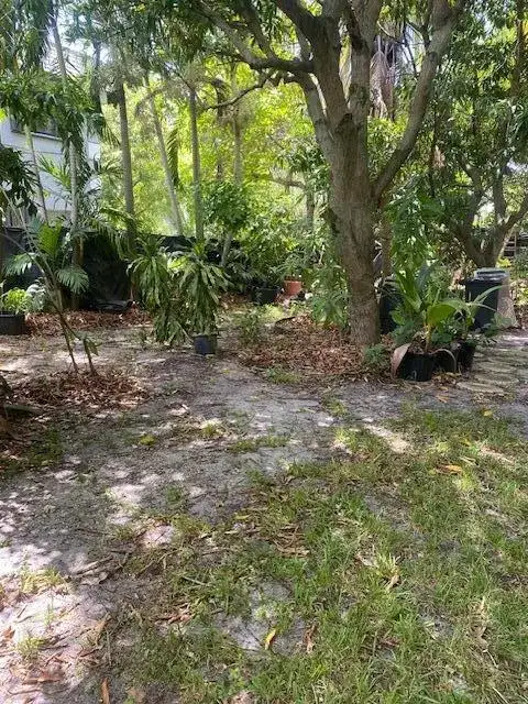 425 NW 7TH, Fort Lauderdale FL 33311 photo 4