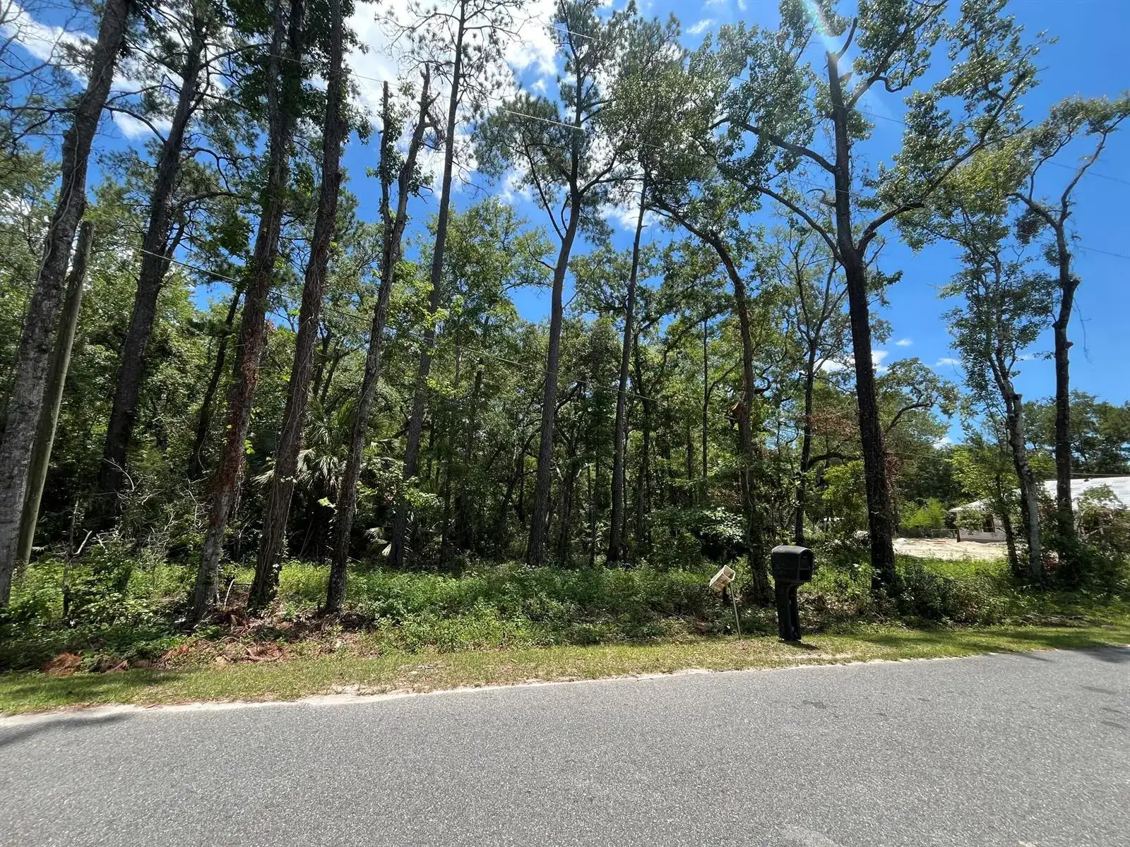 Tbd FRANKLIN Drive, FL 32327 photo 4