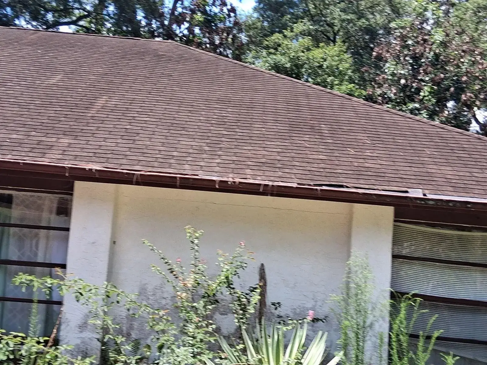 230 PEAKE Street NE, Palm Bay FL 32907 photo 4