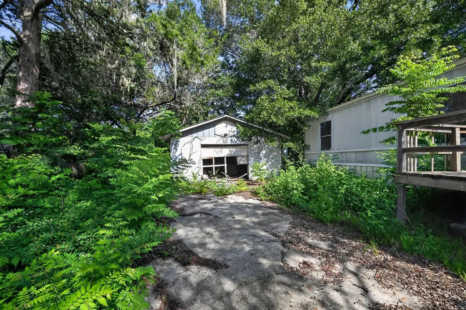 7498 Hilltop Street, FL 32656 photo 4