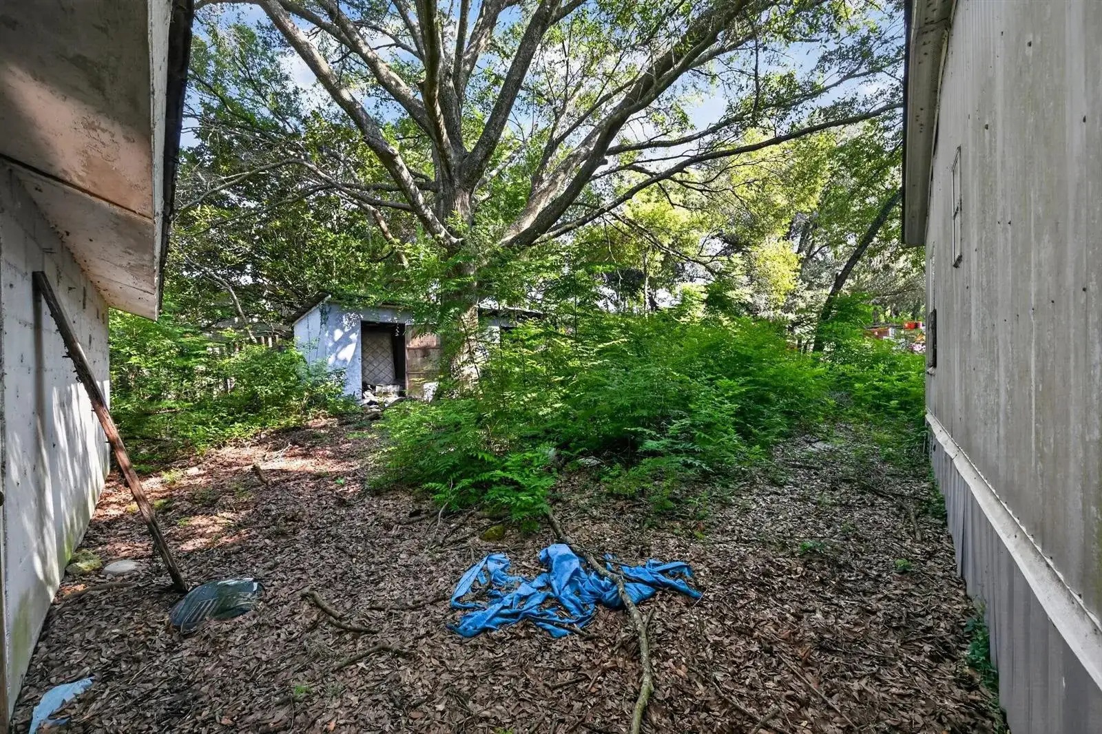7498 Hilltop Street, FL 32656 photo 5
