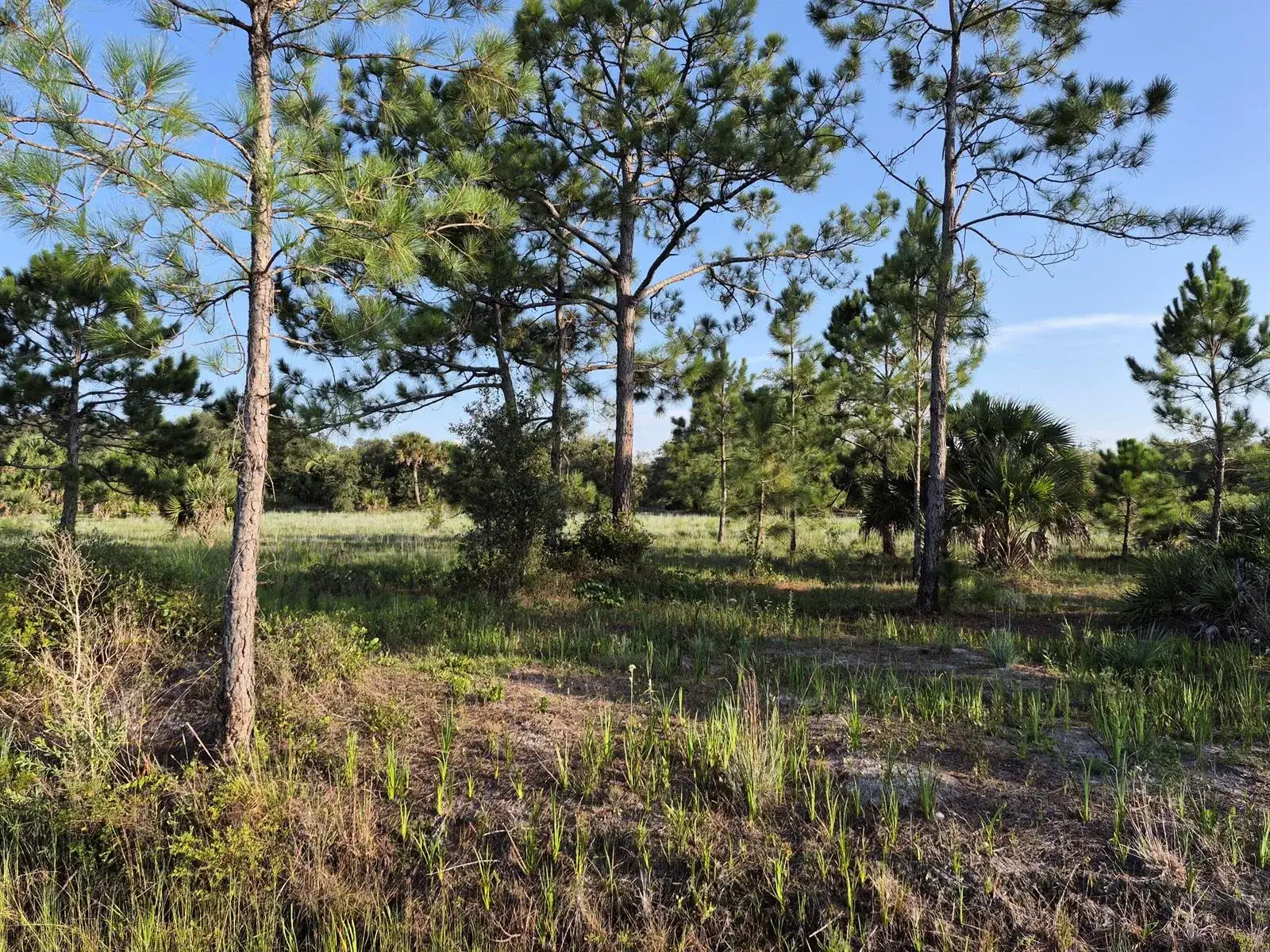 16810 NW 292ND Street, Okeechobee FL 34972 photo 2