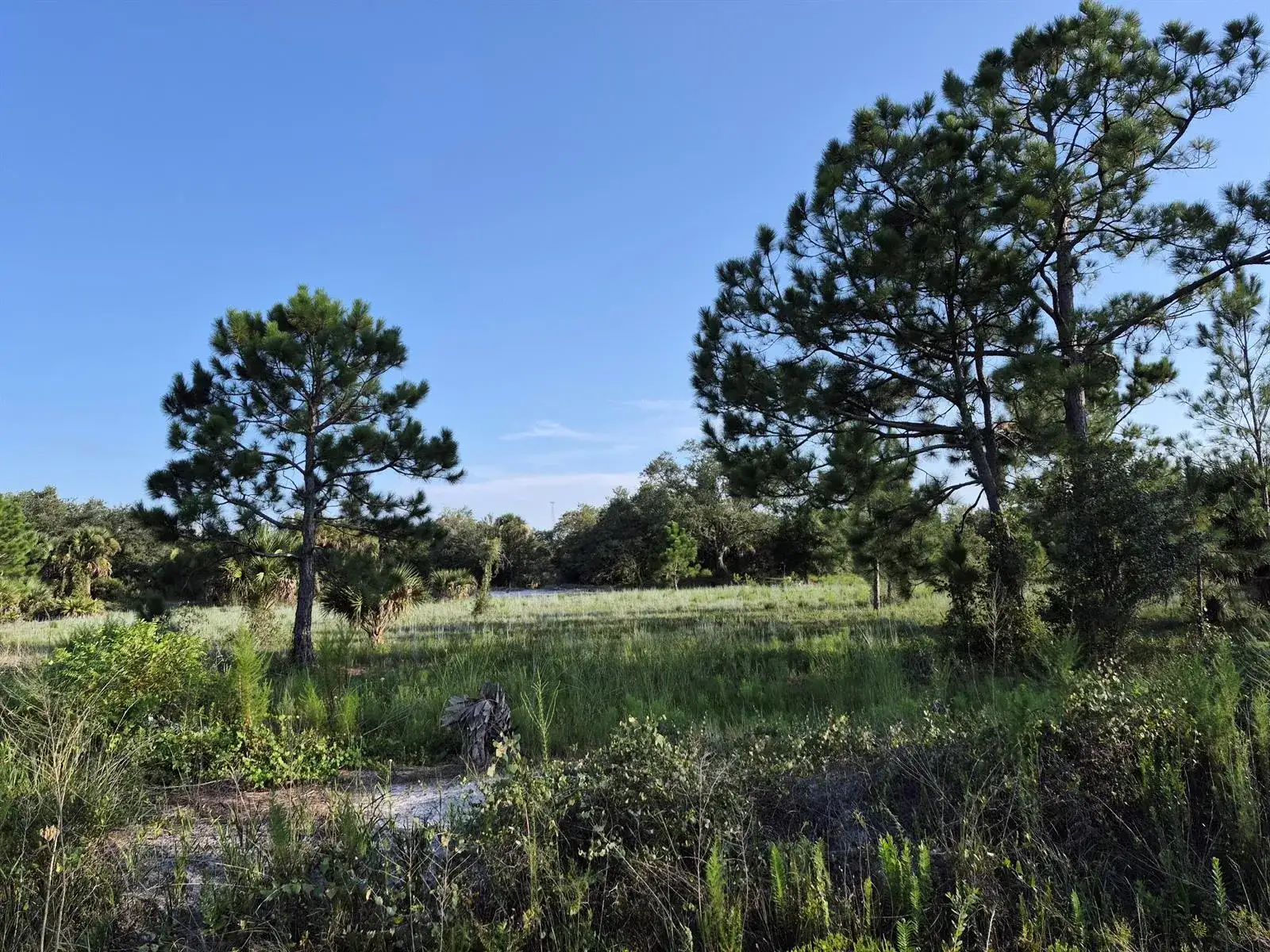 16810 NW 292ND Street, Okeechobee FL 34972 photo 3