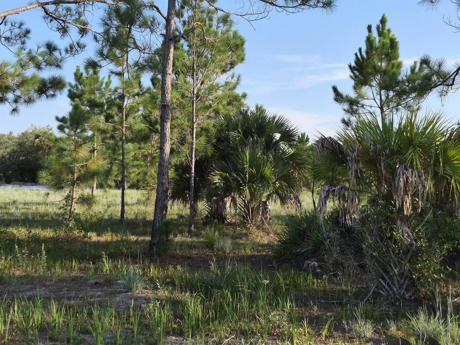 16810 NW 292ND Street, Okeechobee FL 34972 photo 4
