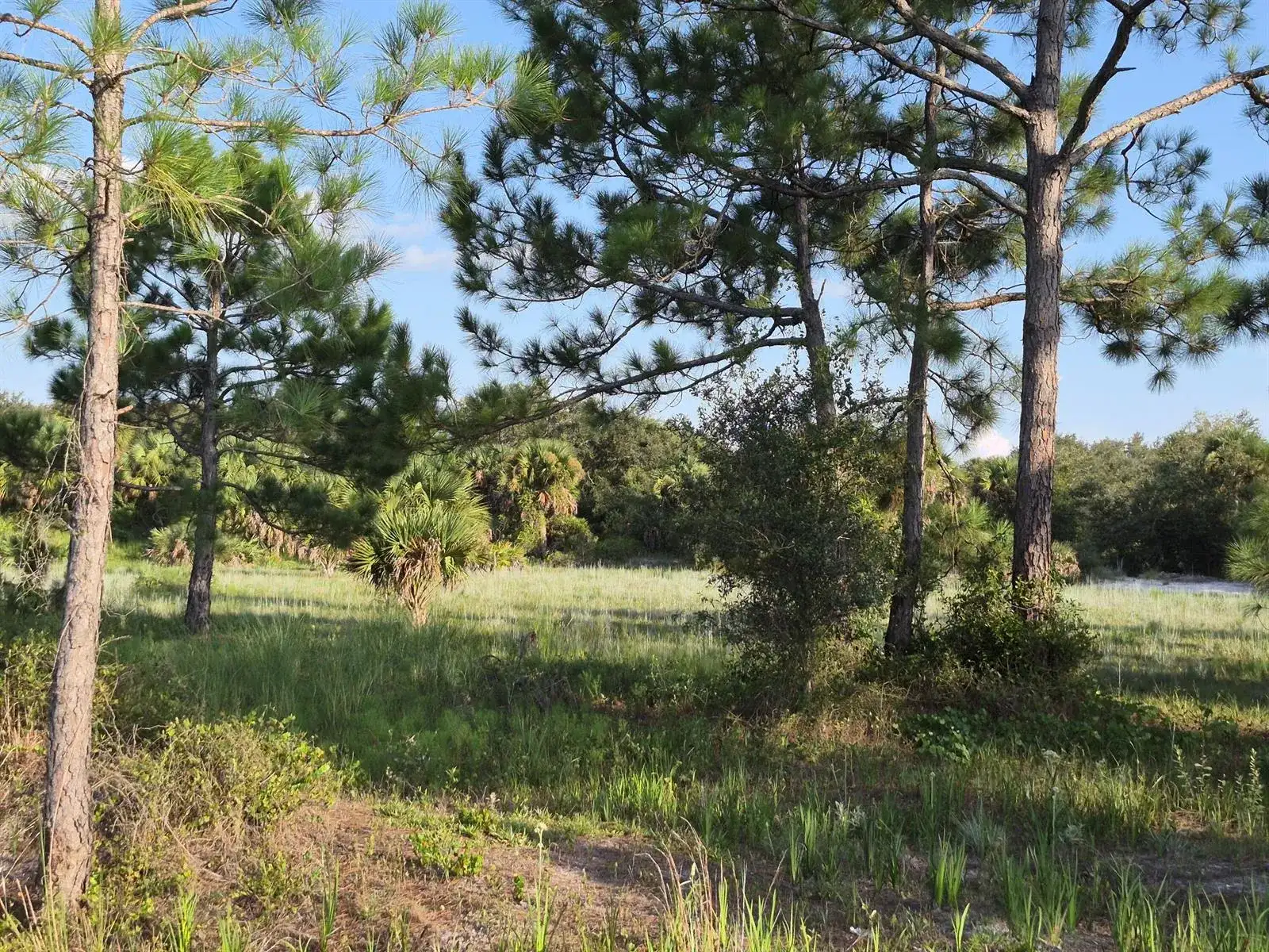16810 NW 292ND Street, Okeechobee FL 34972 photo 5