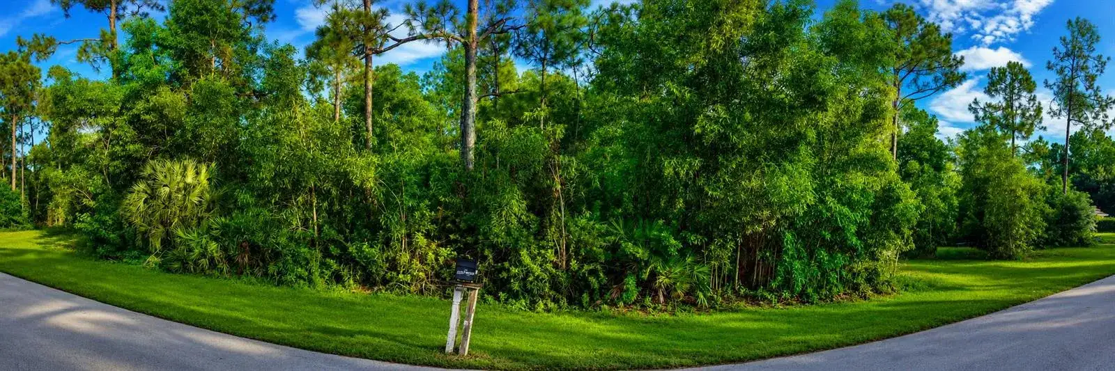 2424 Lola Avenue S, Lehigh Acres FL 33973 photo 4