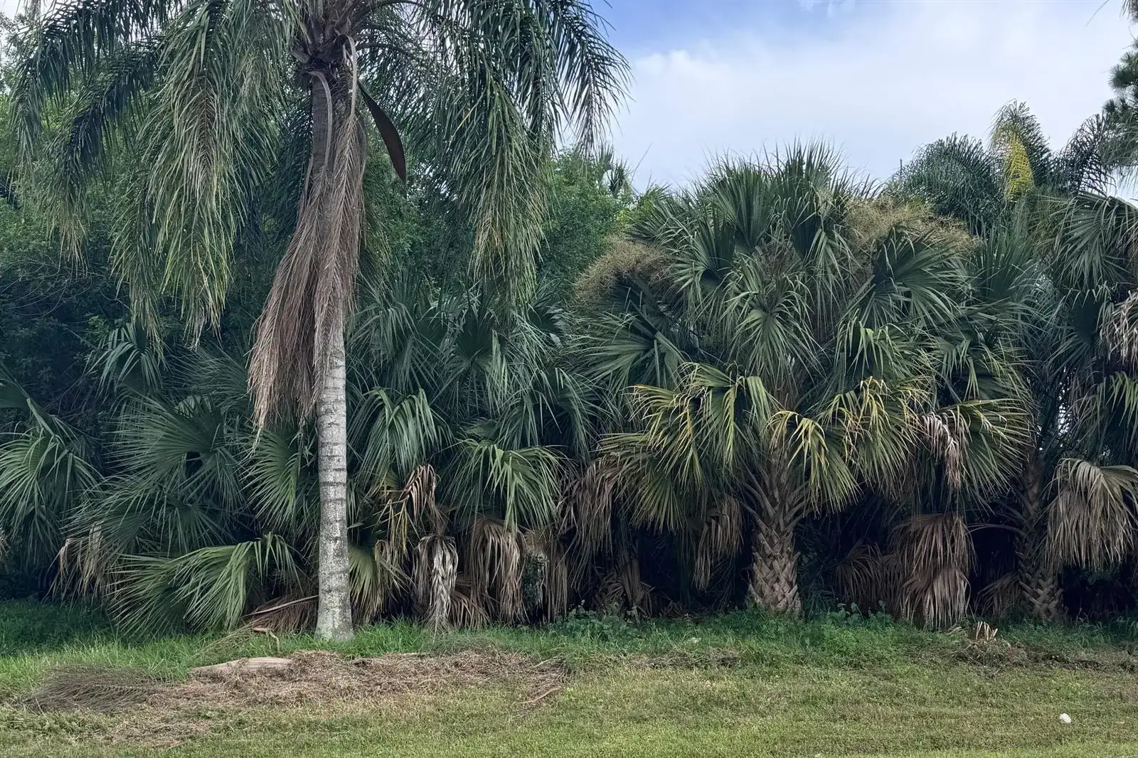 908 SW BAY STATE Road, Port St. Lucie FL 34953 photo 2