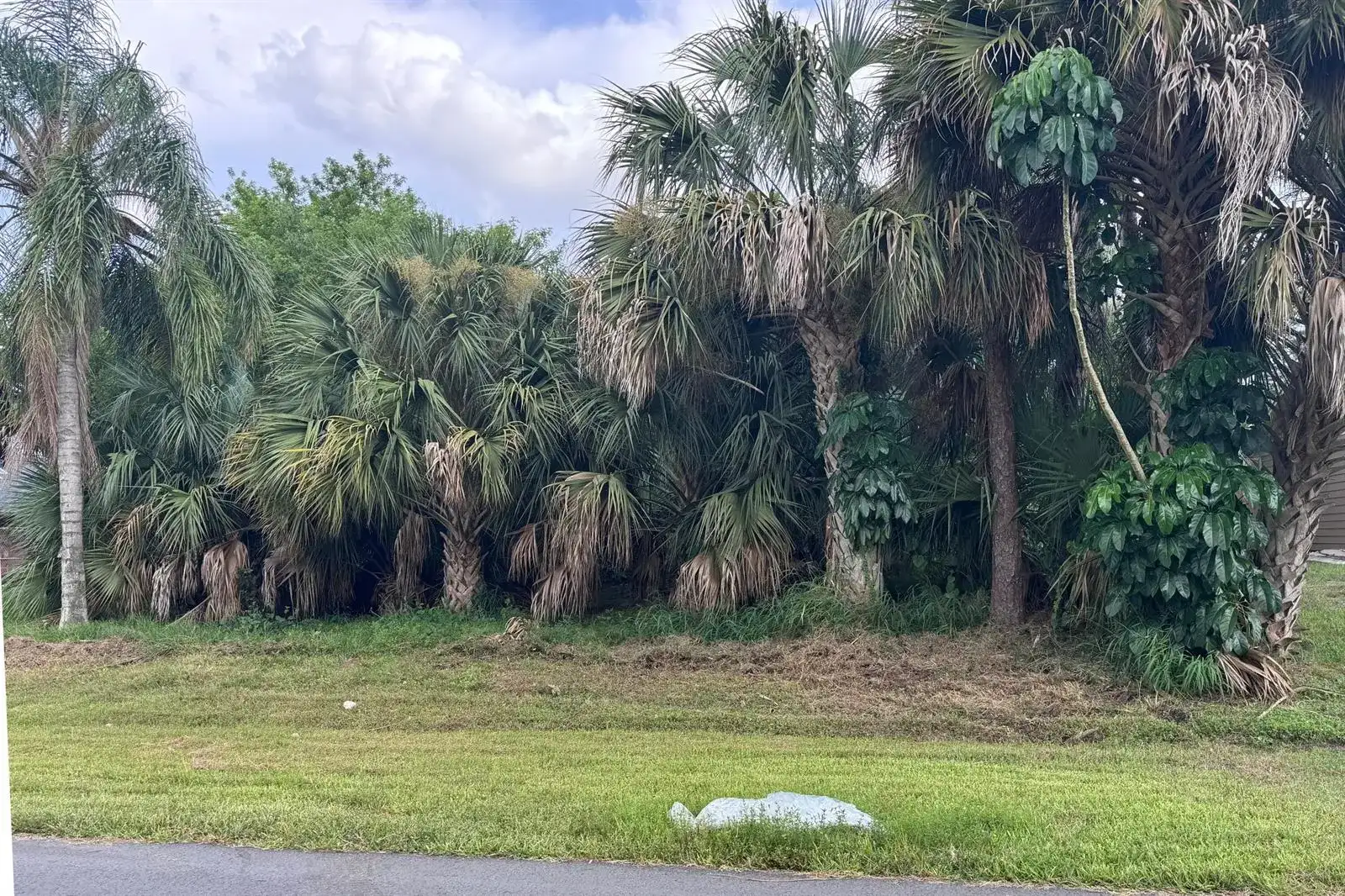 908 SW BAY STATE Road, Port St. Lucie FL 34953 photo 4
