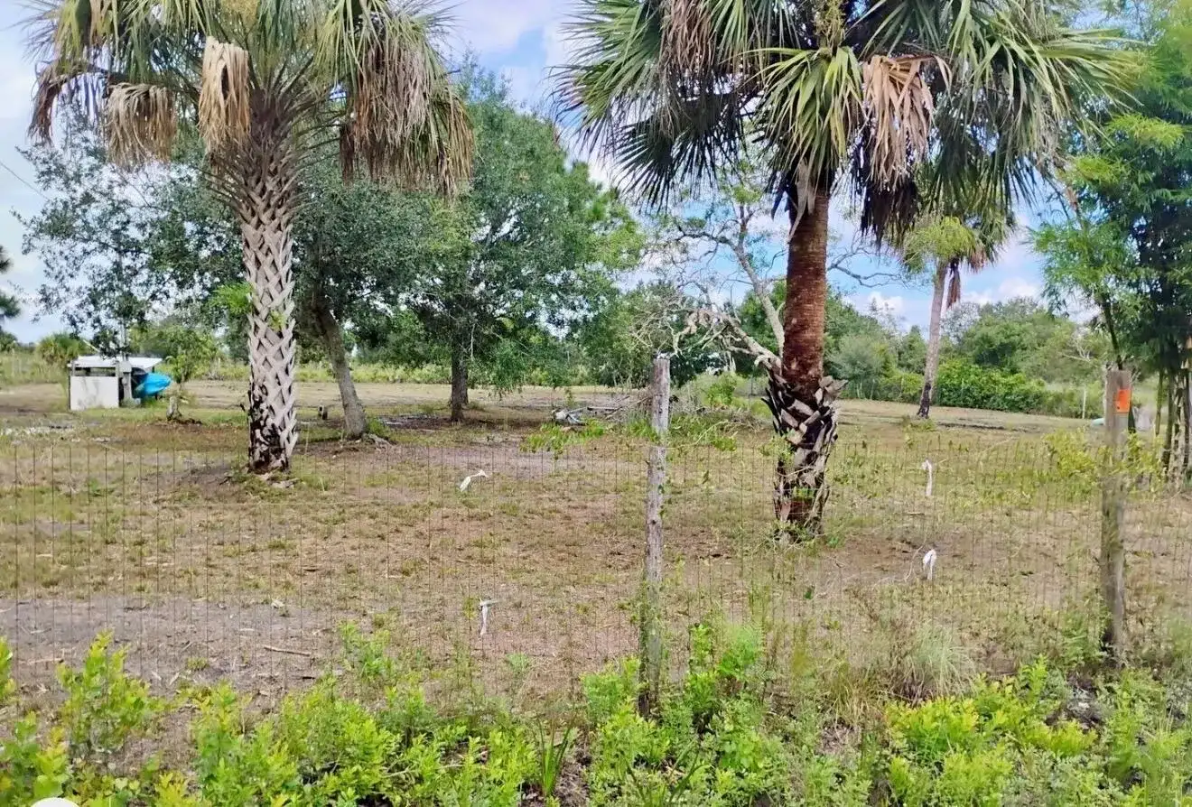 15313 NW 310TH Street N, Okeechobee FL 34972 photo 3