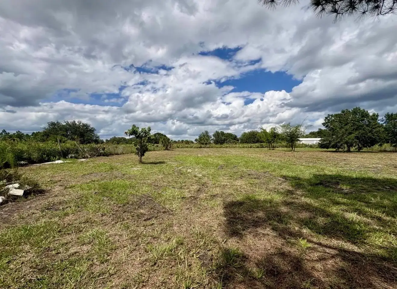 15313 NW 310TH Street N, Okeechobee FL 34972 photo 5