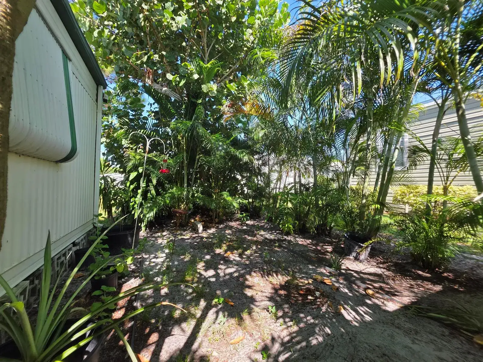 6125 N Guava Lane, Atlantis FL 33462 photo 4