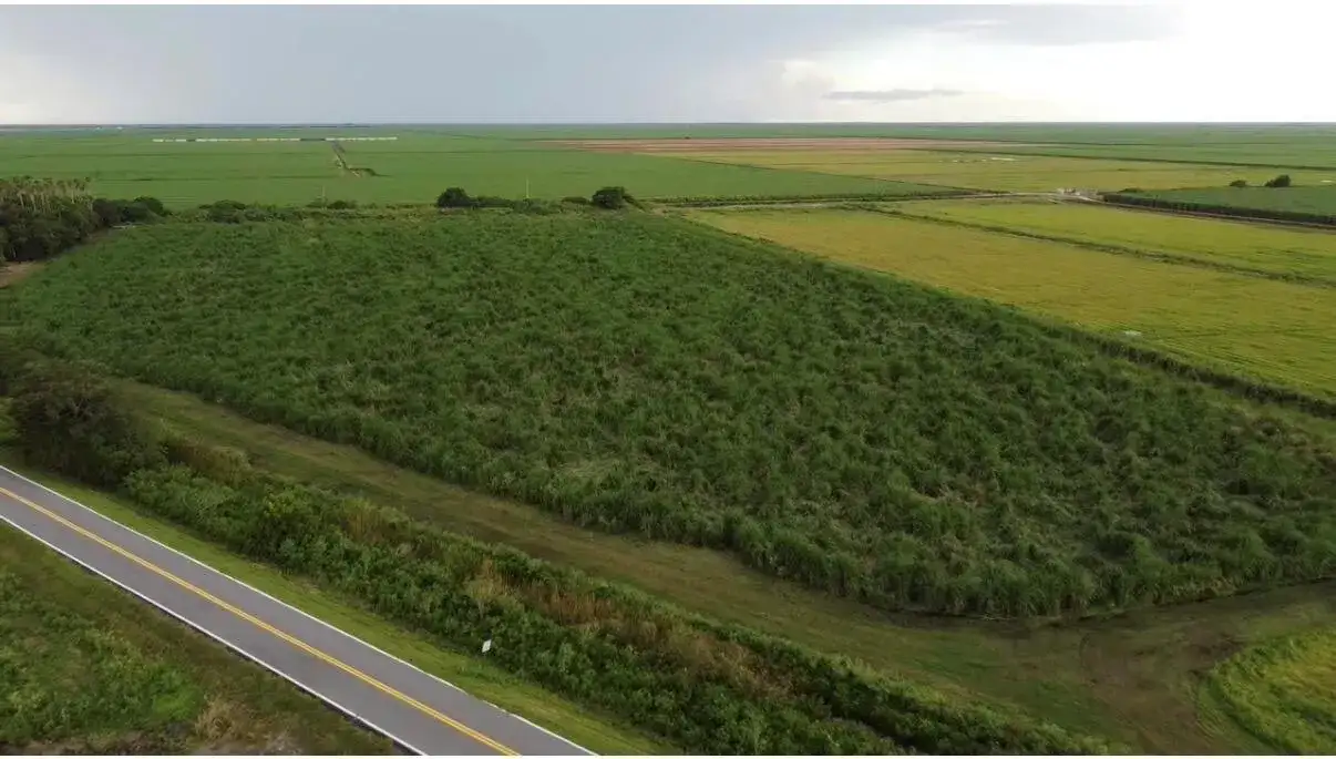 Us 27 STATE ROAD 80, FL 33440 photo 5