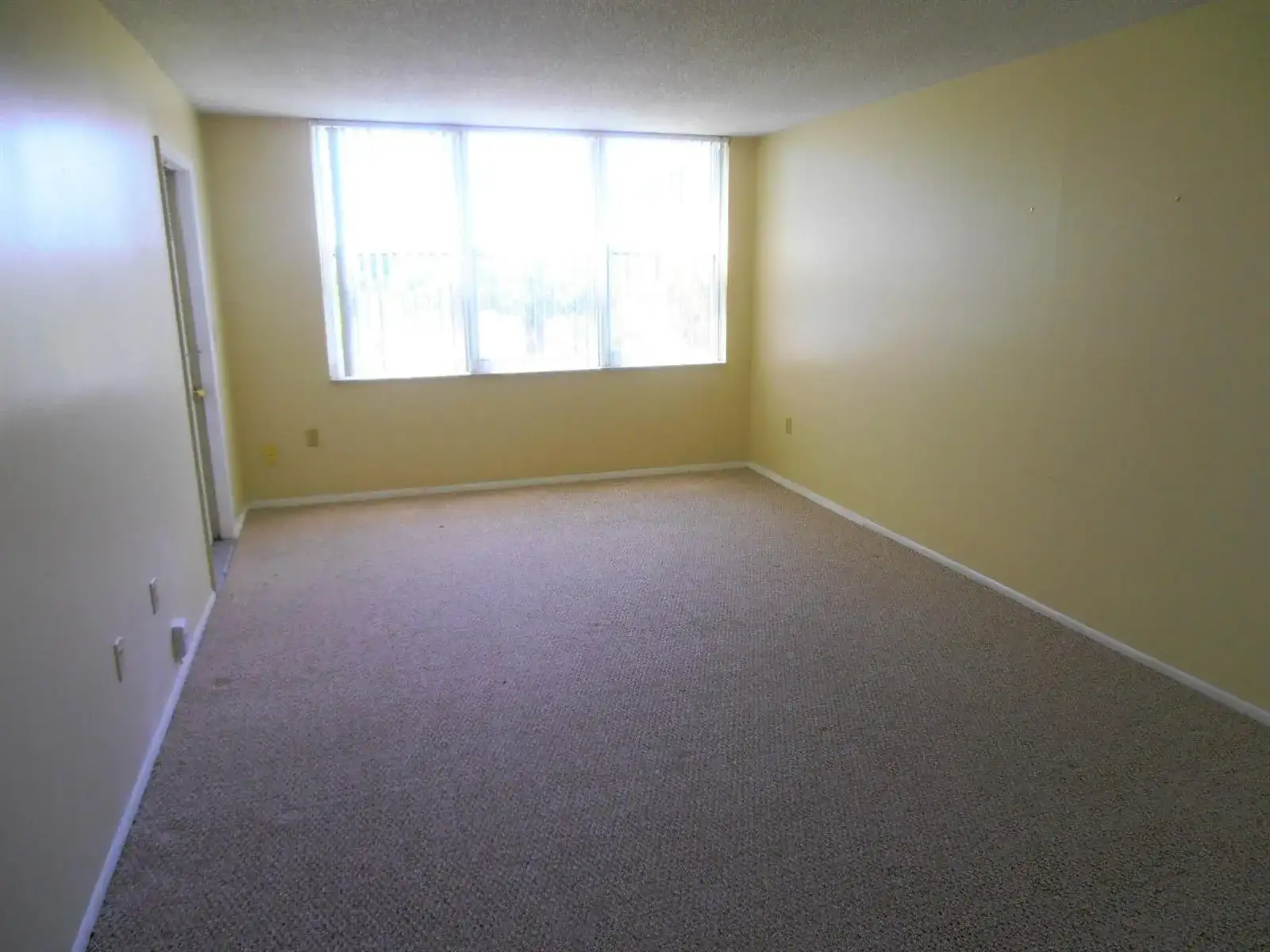 9451 EVERGREEN Place # 306, Davie FL 33324 photo 3
