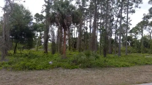 1234 COUNT Street E, Lehigh Acres FL 33974 photo 4
