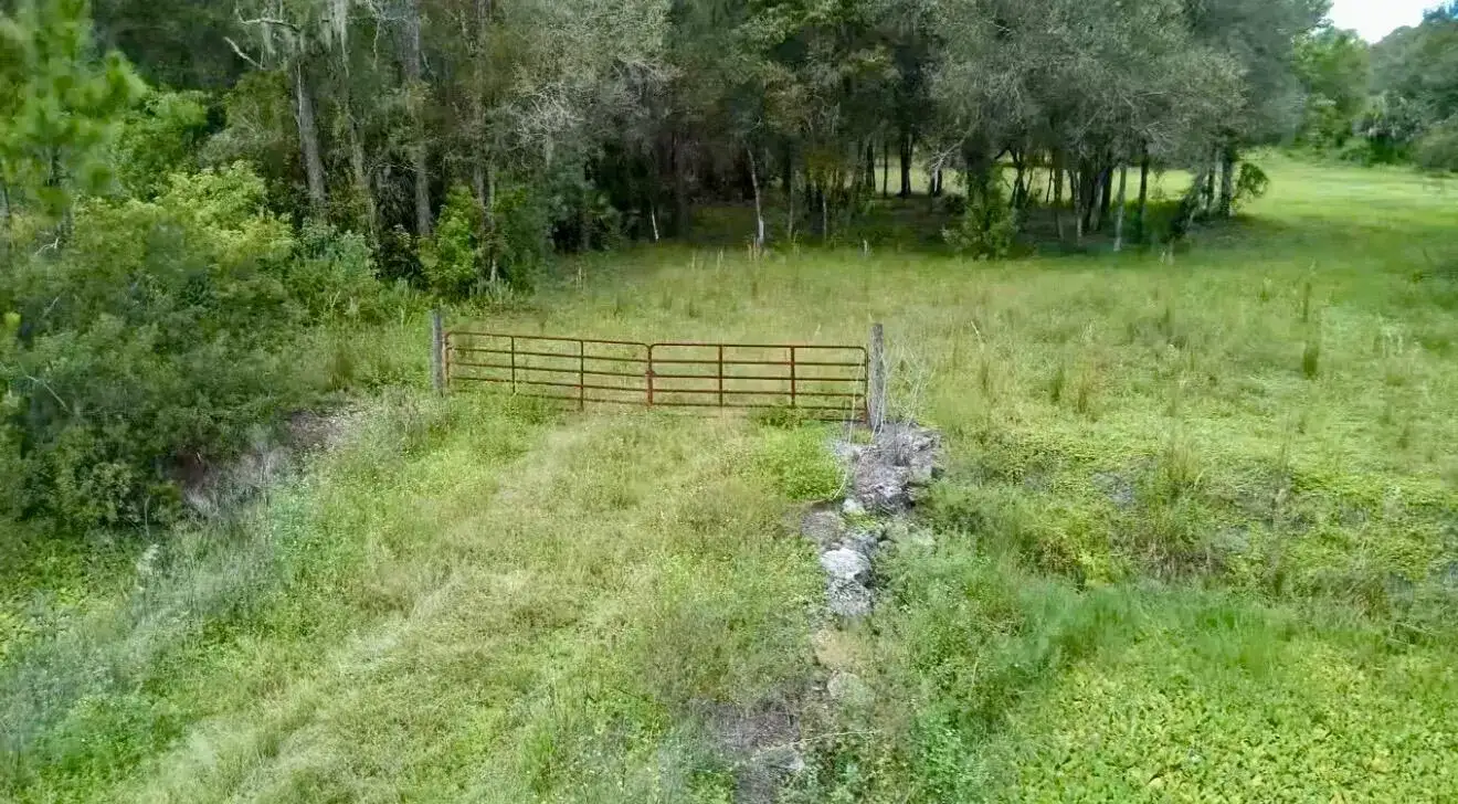 7061 FLAGHOLE Road, FL 33440 photo 2