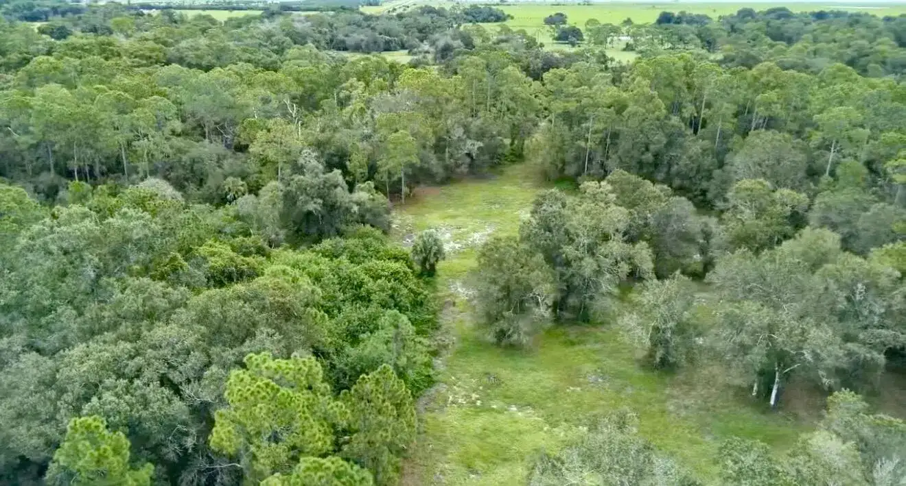 7061 FLAGHOLE Road, FL 33440 photo 5