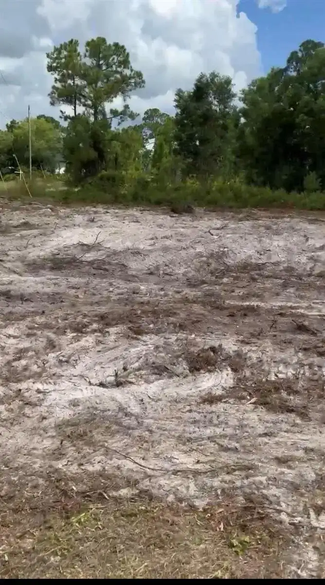 1036 Manning Street E, Lehigh Acres FL 33974 photo 2