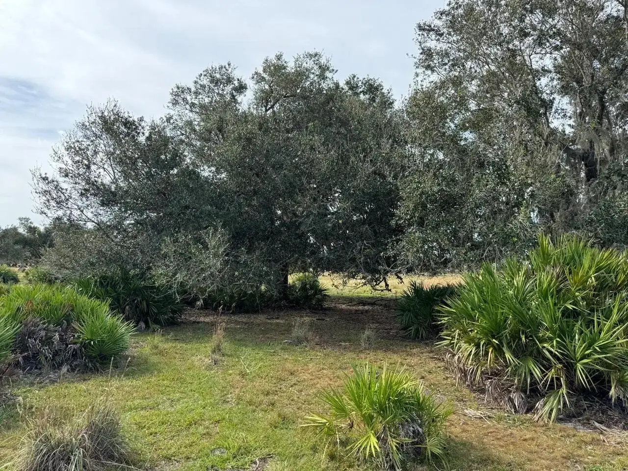101 PERCHERON Trail, FL 33960 photo 5