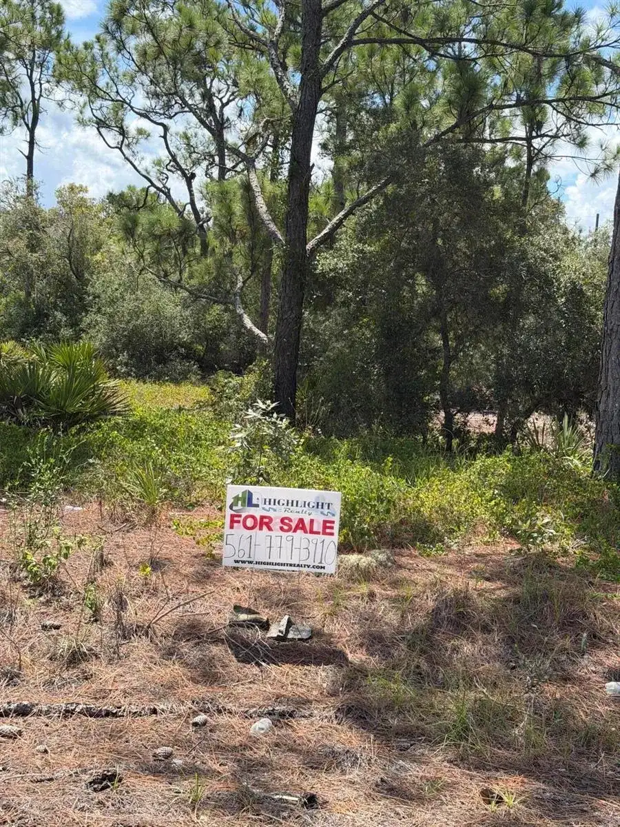 391 MARIONETTE Avenue, Lake Placid FL 33852 photo 2