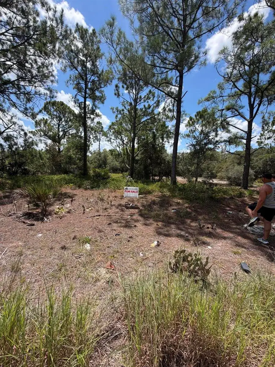 391 MARIONETTE Avenue, Lake Placid FL 33852 photo 4