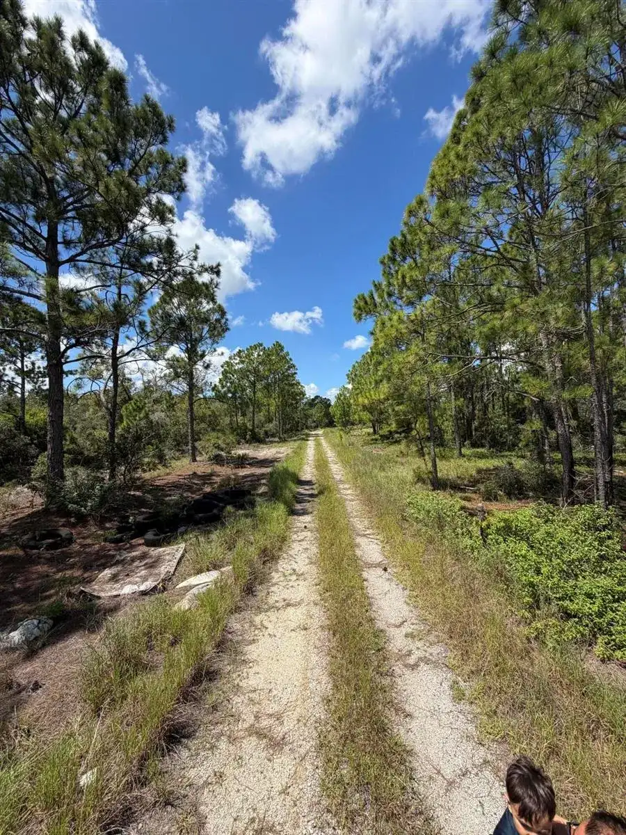 391 MARIONETTE Avenue, Lake Placid FL 33852 photo 5
