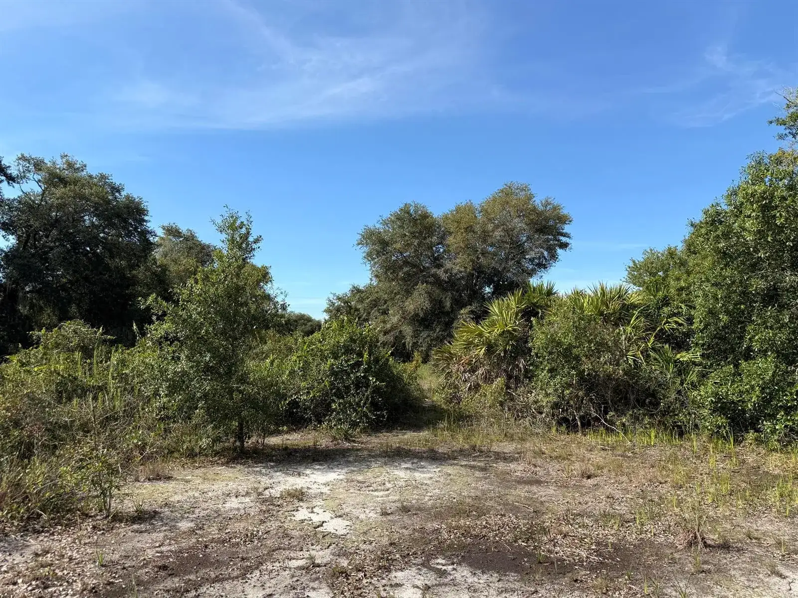21231 NW 270TH Street, Okeechobee FL 34972 photo 4