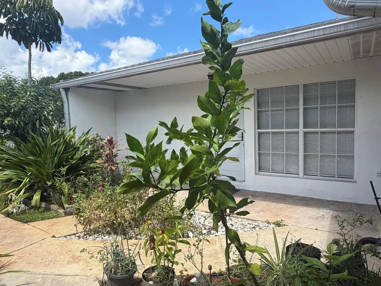2113 SE EDLER Drive, Stuart FL 34994 photo 3