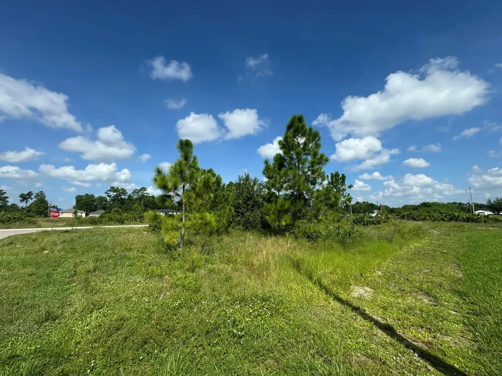 1107 Cove Street E, Lehigh Acres FL 33974 photo 4