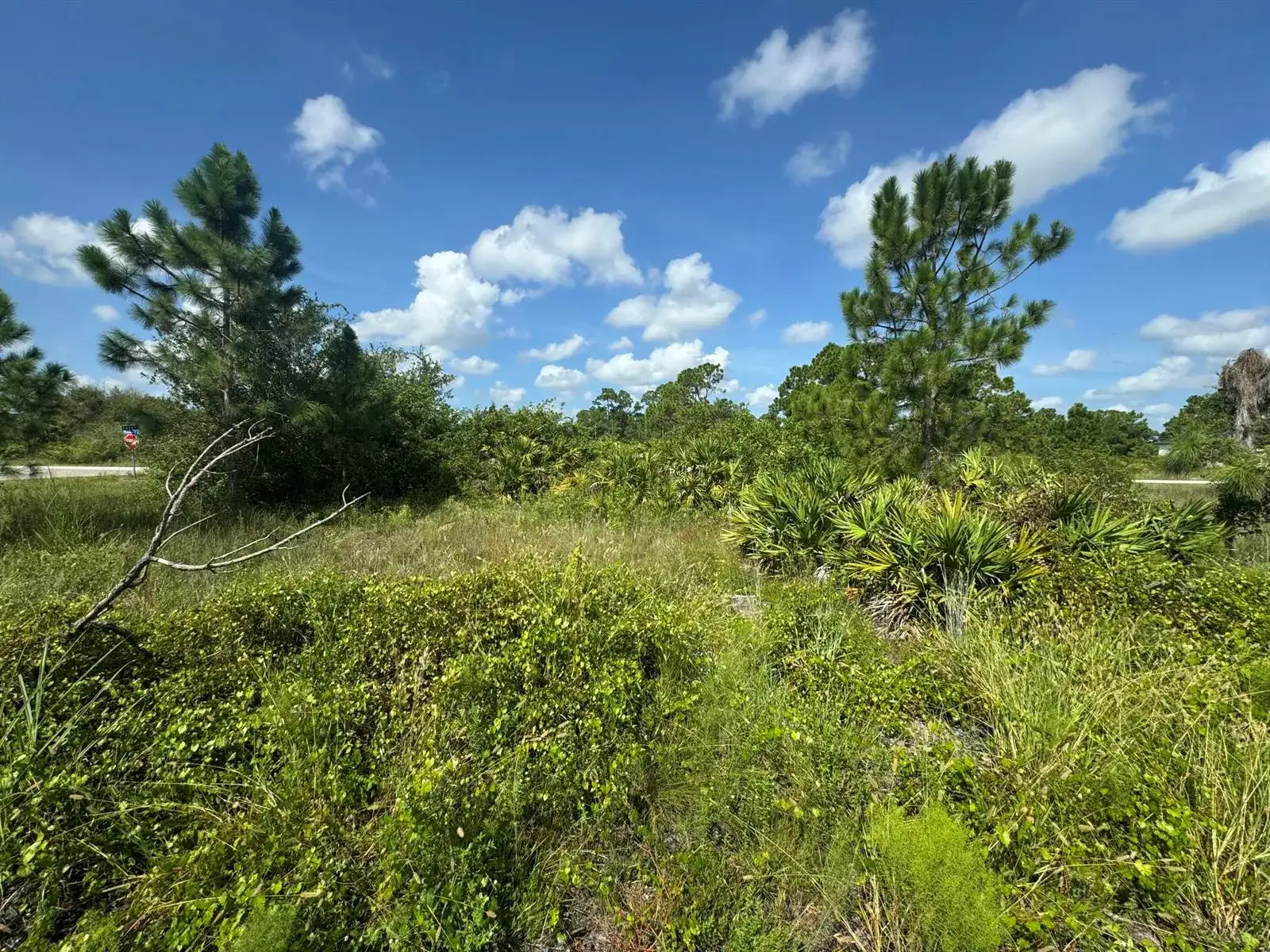 1107 Cove Street E, Lehigh Acres FL 33974 photo 5