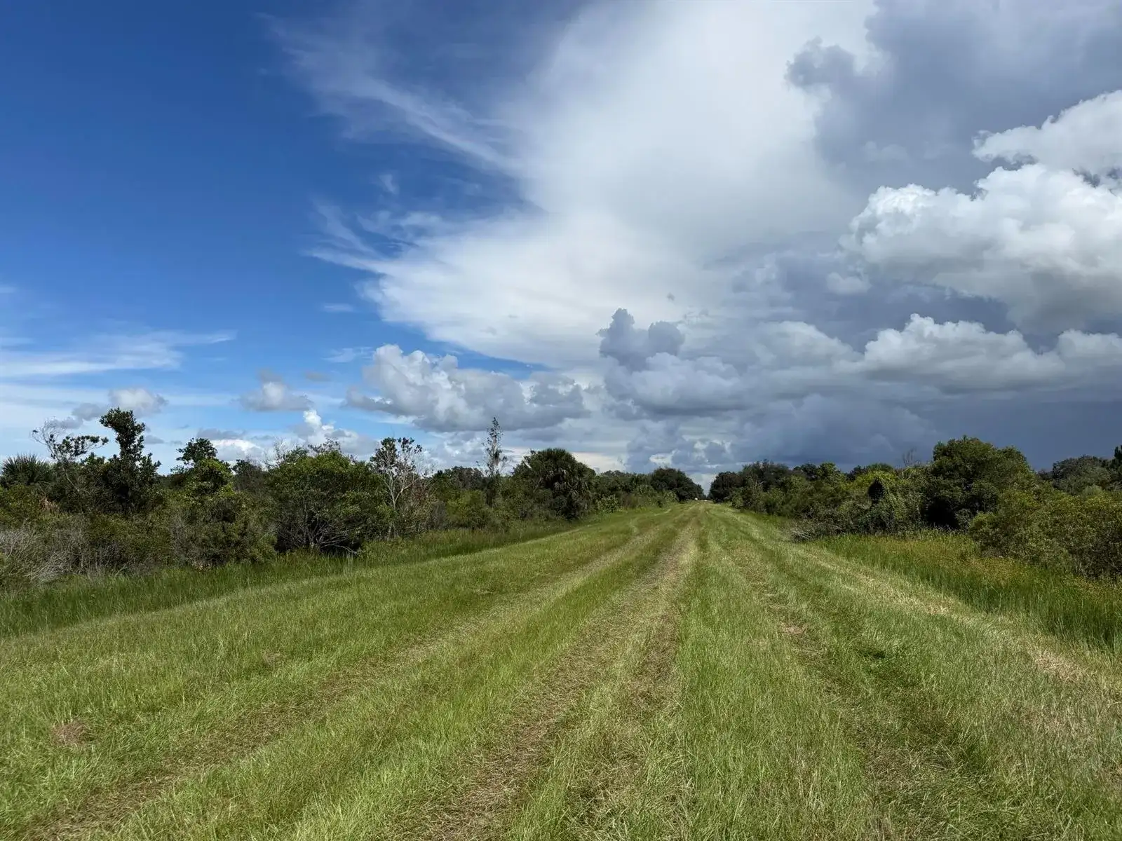 18076 NW 276TH Street, Okeechobee FL 34972 photo 2