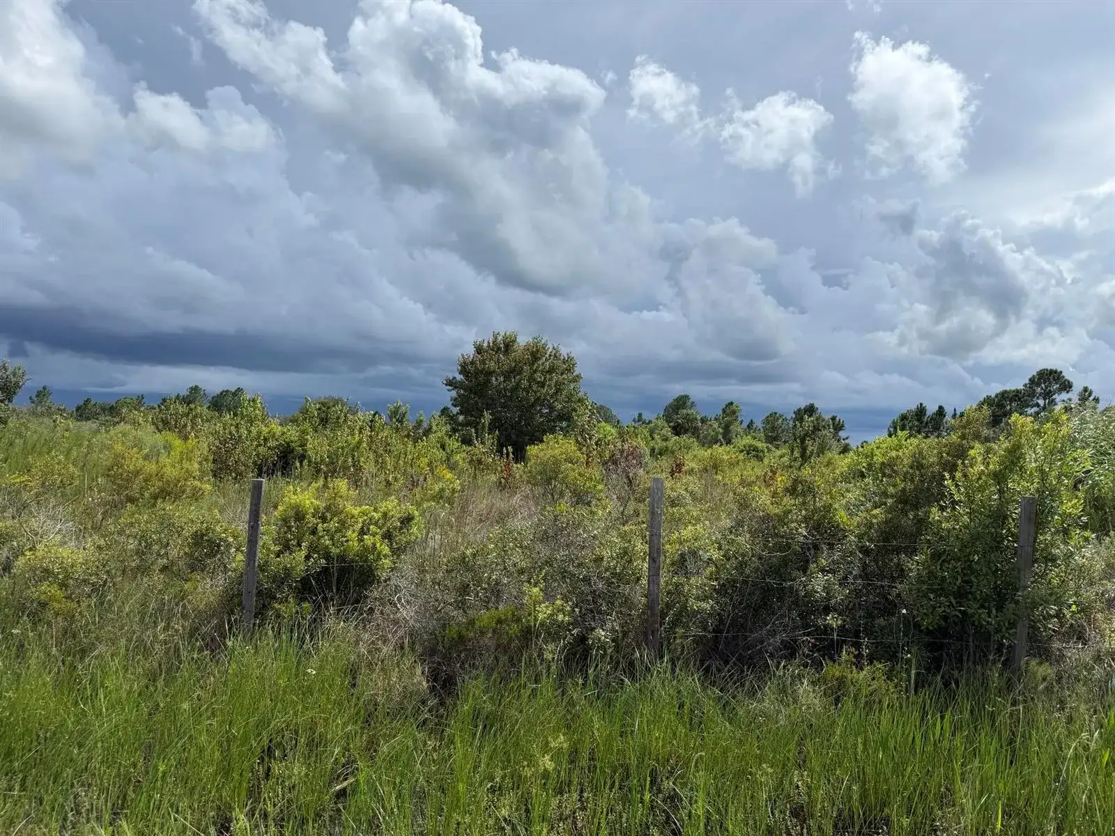 18076 NW 276TH Street, Okeechobee FL 34972 photo 3