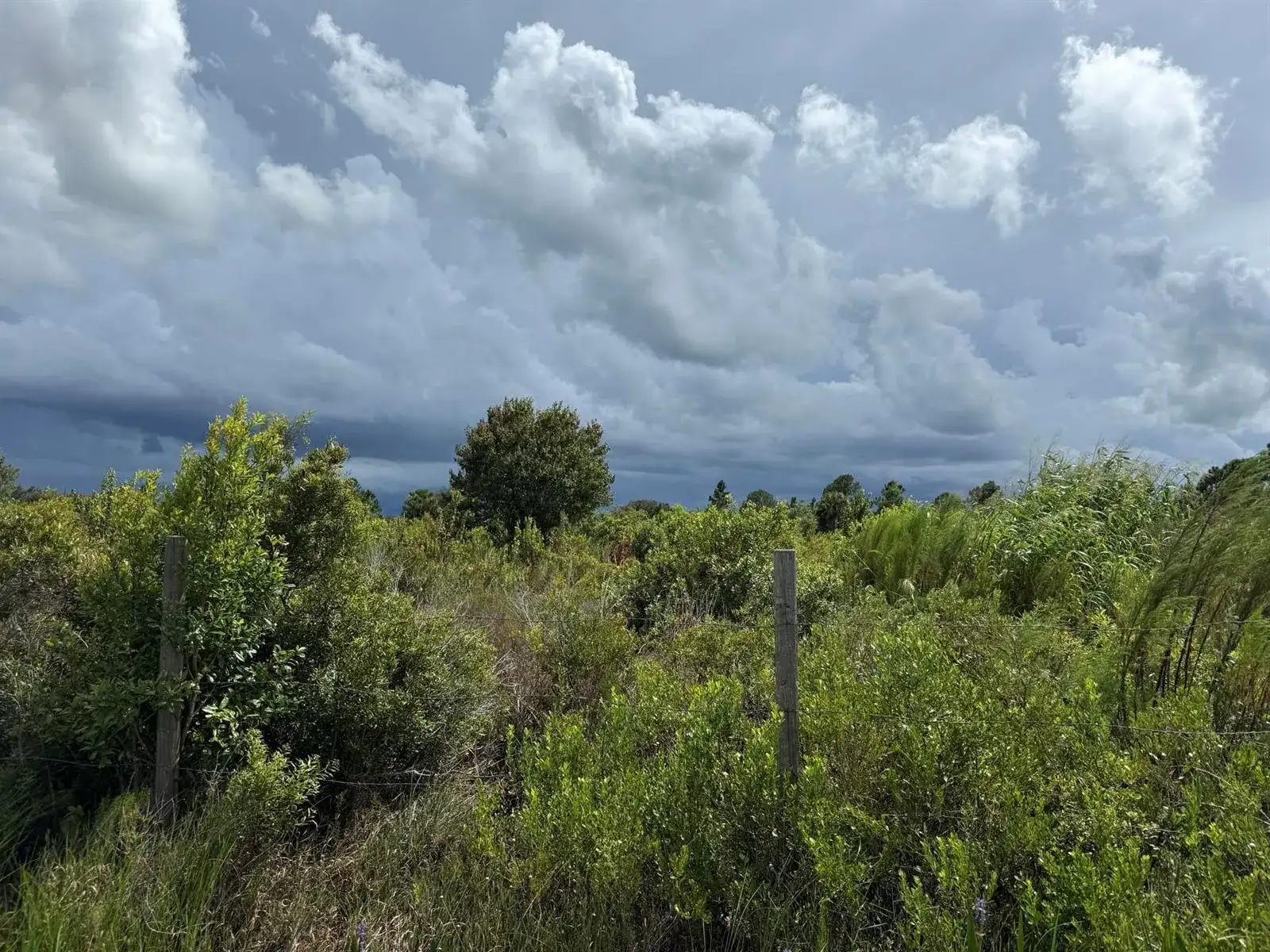 18076 NW 276TH Street, Okeechobee FL 34972 photo 4