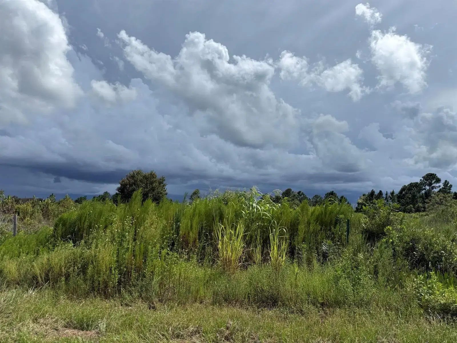 18076 NW 276TH Street, Okeechobee FL 34972 photo 5