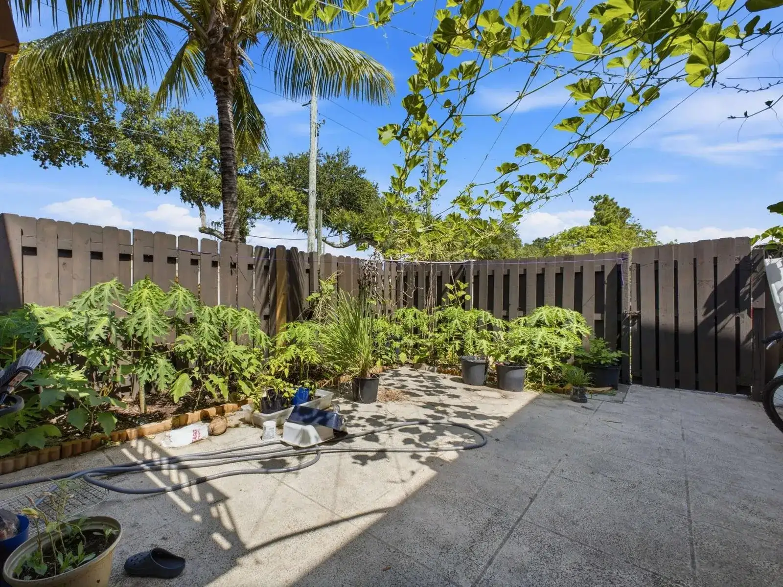 2248 White Pine Circle # A, FL 33415 photo 3