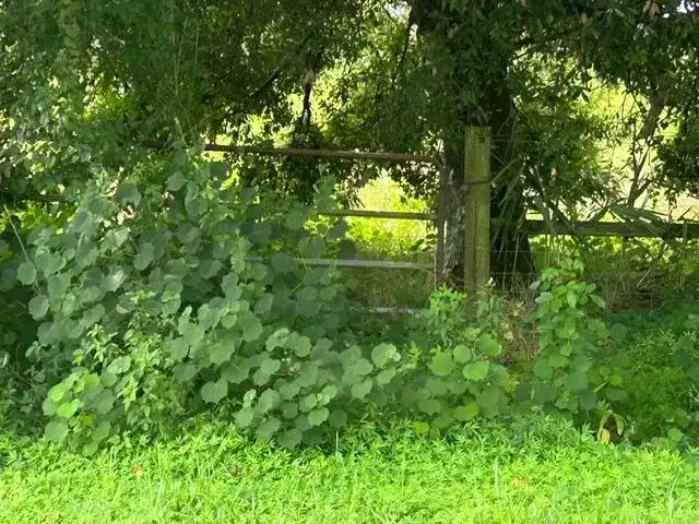 8201 NE 12TH Street, Okeechobee FL 34974 photo 3