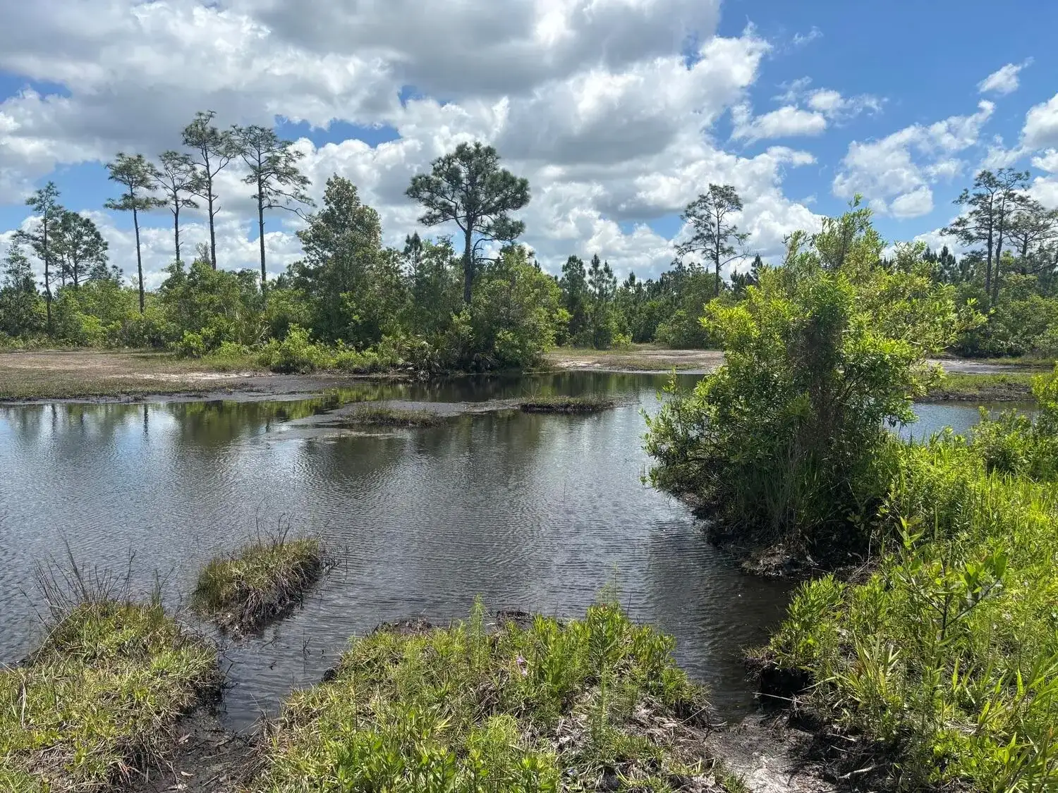 0 Holopaw Groves Road, FL 34772 photo 2