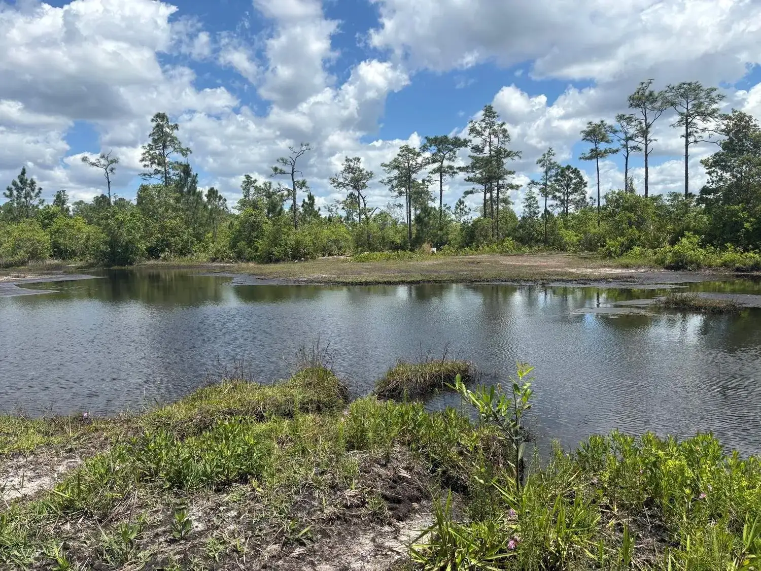 0 Holopaw Groves Road, FL 34772 photo 3
