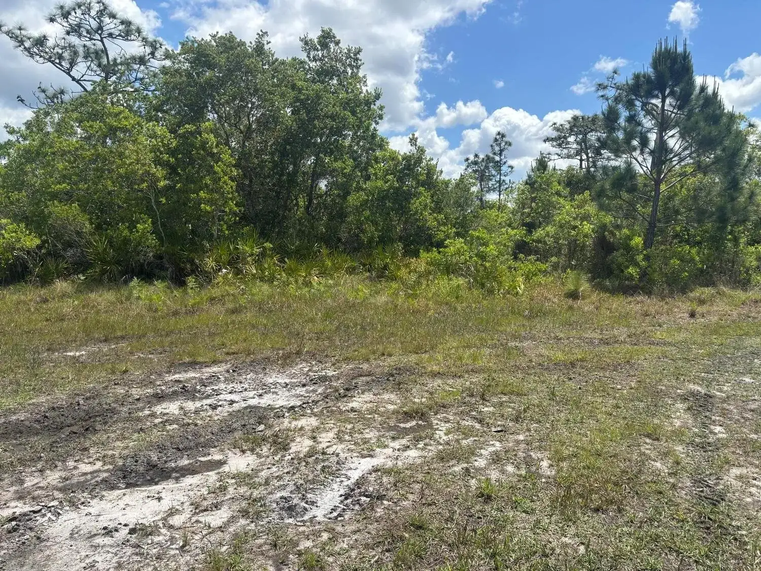 0 Holopaw Groves Road, FL 34772 photo 2