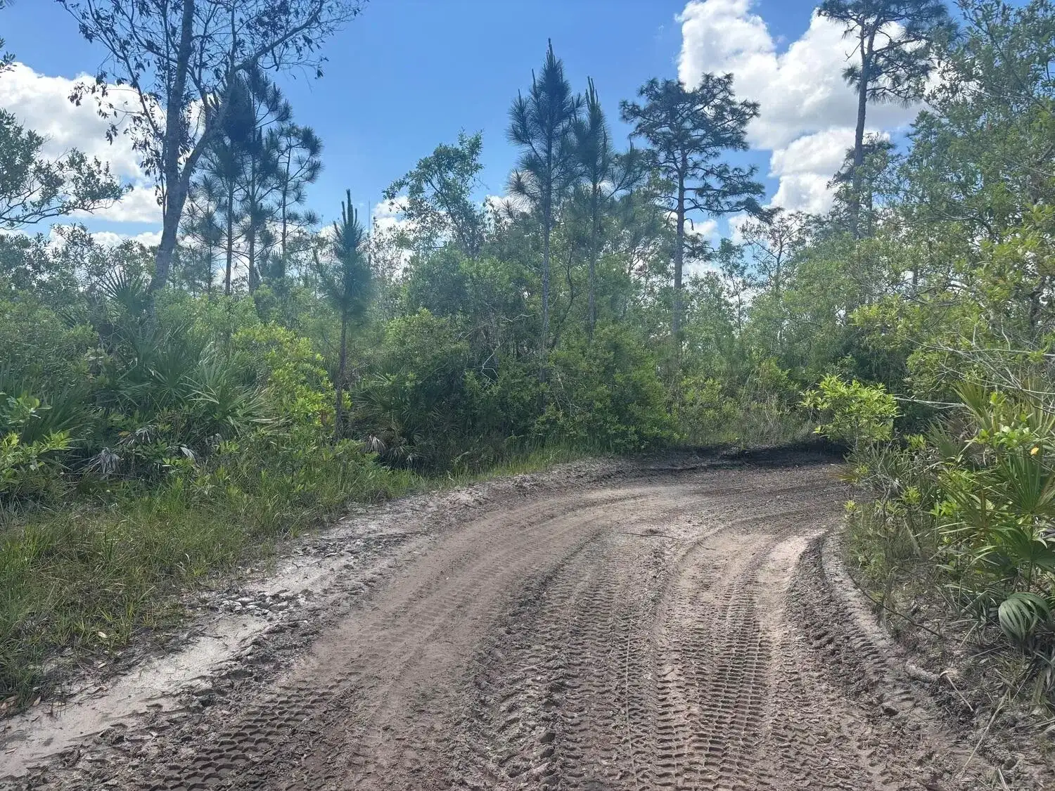 0 Holopaw Groves Road, FL 34772 photo 2