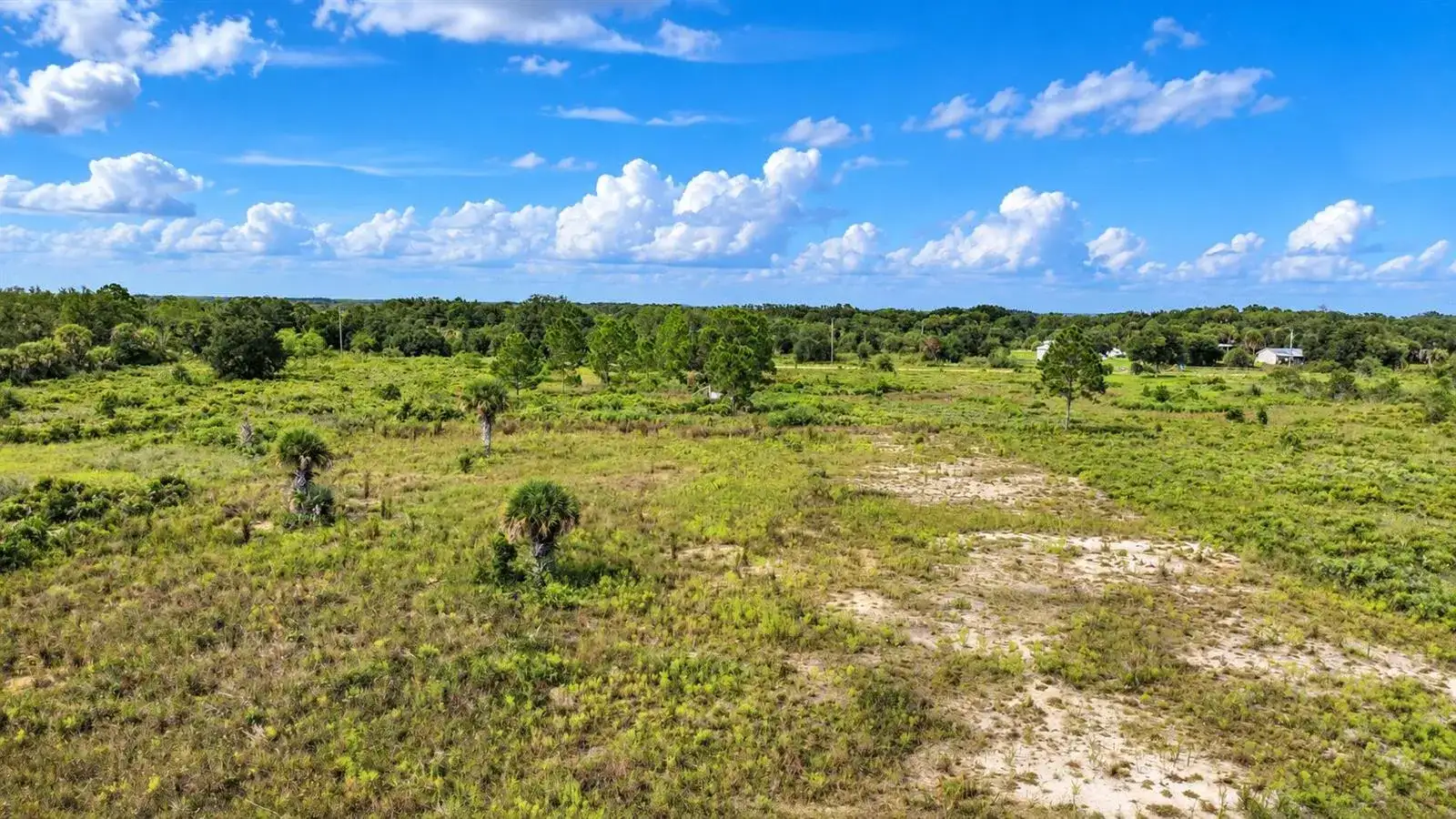 17491 NW 316TH Street, Okeechobee FL 34972 photo 3