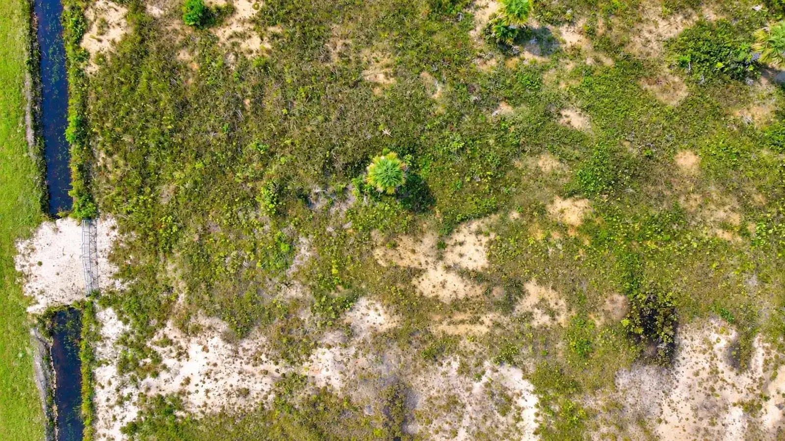 17491 NW 316TH Street, Okeechobee FL 34972 photo 4