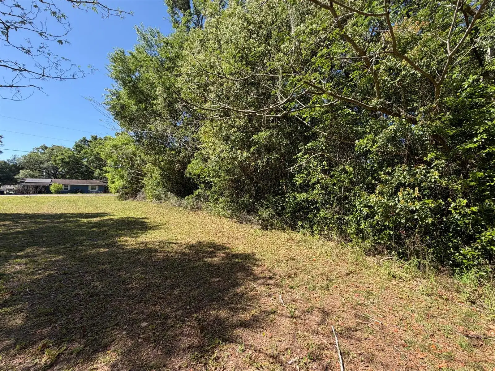 00 SW Marine Boulevard, FL 34431 photo 3