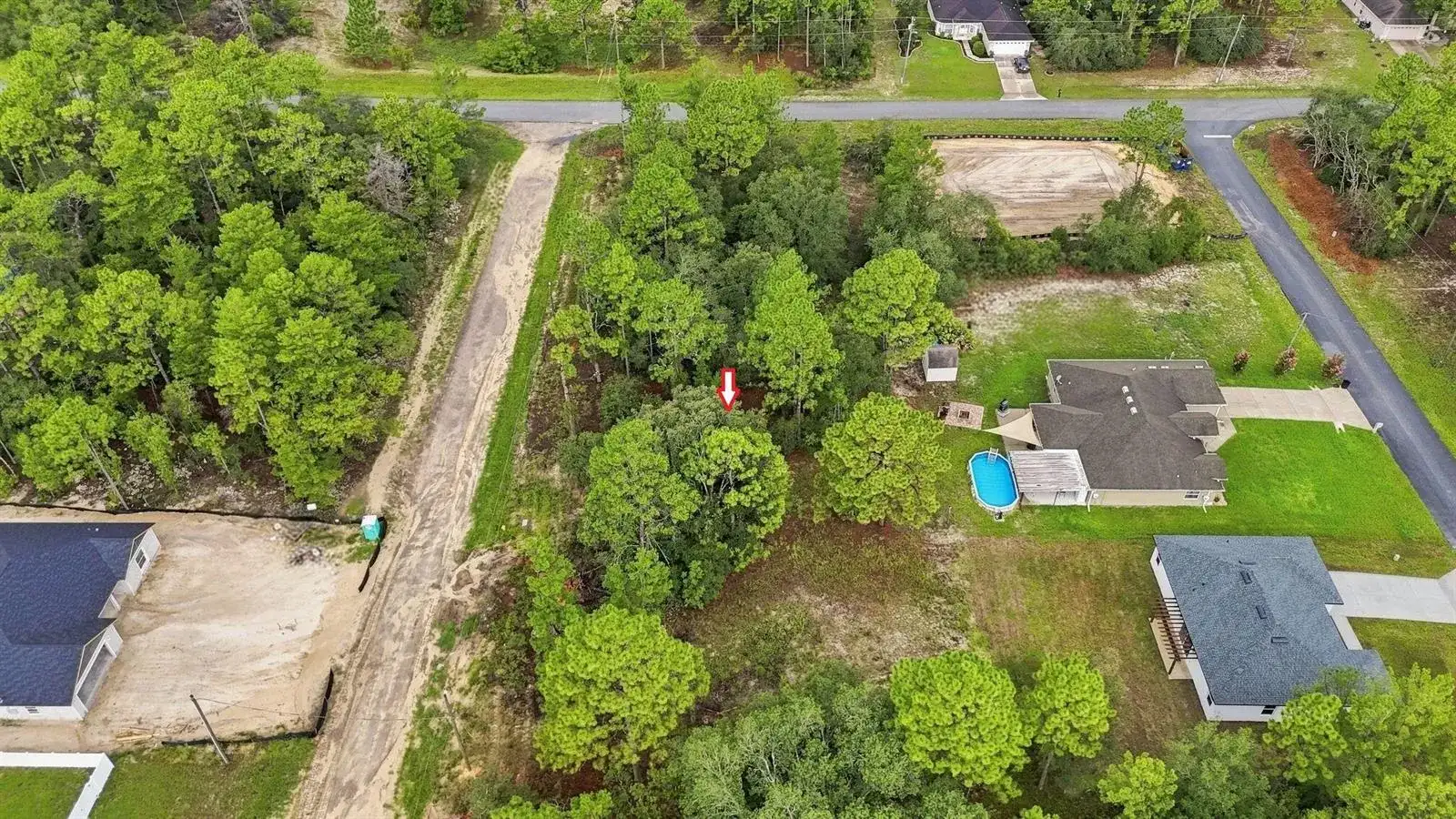 3837 W MALBY Lane, FL 34433 photo 5