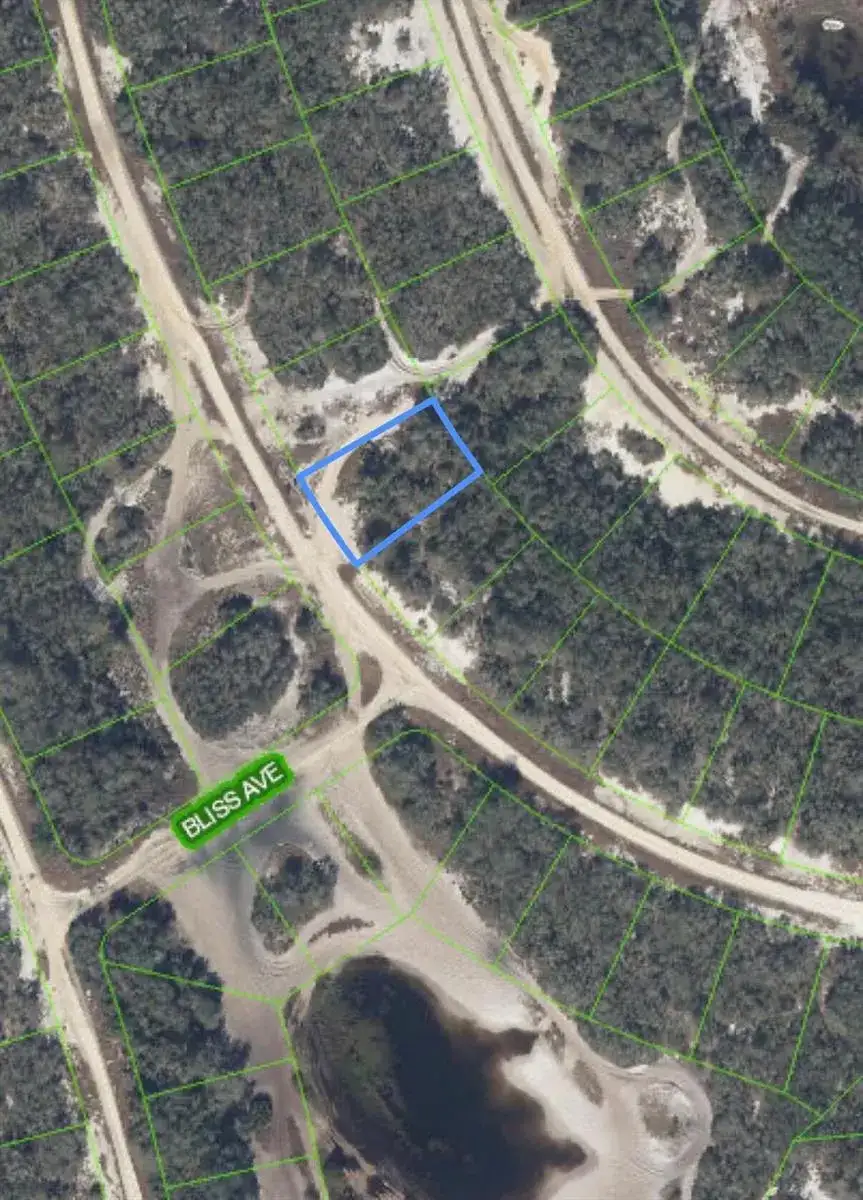 229 RHYTHM Drive, Lake Placid FL 33852 photo 3