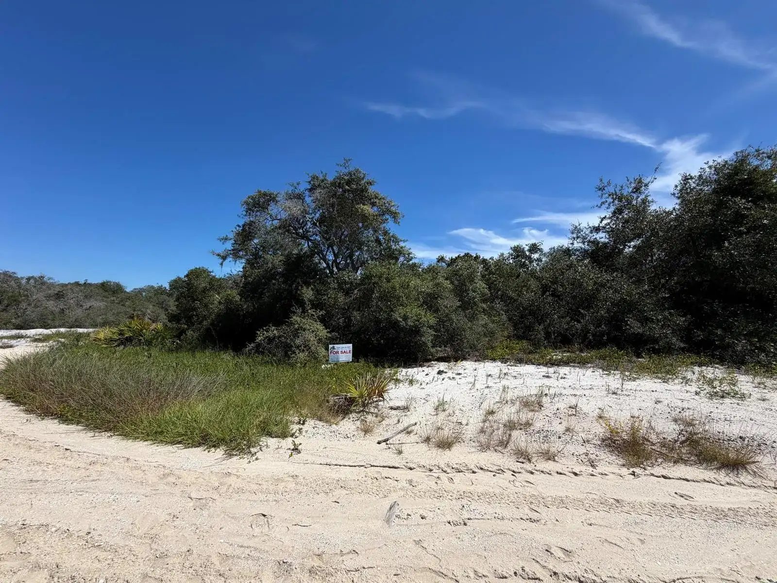229 RHYTHM Drive, Lake Placid FL 33852 photo 4